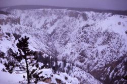 Grand Canyon of Yellowstone in the winter Image