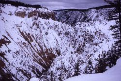 Grand Canyon of Yellowstone in the winter Image