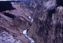 Grand Canyon of Yellowstone & the Yellowstone River Image