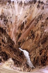 Grand Canyon of Yellowstone & the Yellowstone River Image