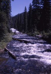 Bechler River Image