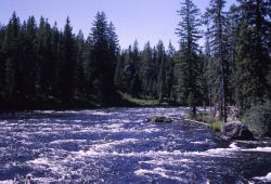 Bechler River Image