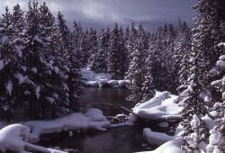 Gibbon River with snow near Norris campground Image