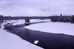 Snake River Image