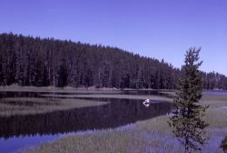 Chipmunk Creek Image