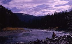 Yellowstone River at lower Blacktail Image