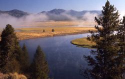 Yellowstone River in Hayden Valley Image
