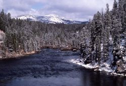 Yellowstone River & Mt Washburn Image