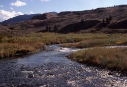 Gardner River Image