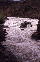 Gardner River with spring run off Image