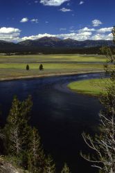 Yellowstone River in Hayden Valley Image