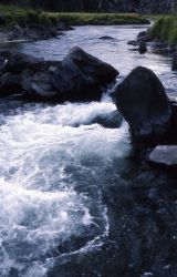 Gardner River & Sheepeater Canyon Image