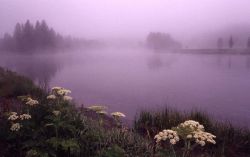 Yellowstone River at Buffalo ford Image