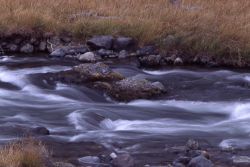 Gardner River Image