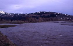 Lamar River at Soda Butte confluence Image