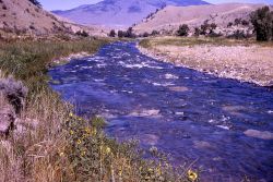 Gardner River below Warm River Image