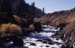 Gardner River north of Mammoth Hot Springs Image