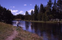 Yellowstone River with fisherman Image
