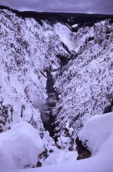 Lower Falls & the Grand Canyon of Yellowstone in the winter Image