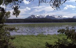 Riddle Lake, Mt Sheridan & Red Mountains Image