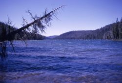 Grizzly Lake Image