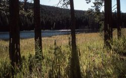 North Twin Lake Image