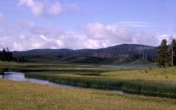 Fern Lake & Broad Creek Image