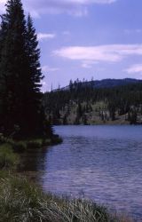 Basin Creek Lake Image