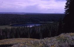 Cascade Lake Image