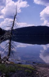 Fern Lake Image