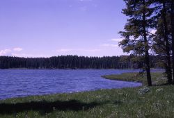 Grebe Lake Image