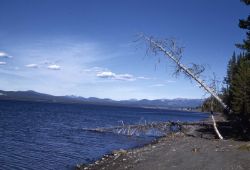Yellowstone Lake as seen from Bridge Bay Image
