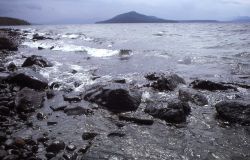 Yellowstone Lake as seen from Park Point Image