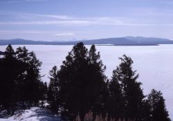 Yellowstone Lake frozen in the winter Image