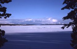 Yellowstone Lake frozen in the winter Image