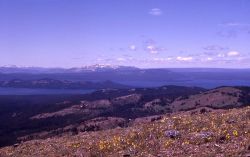 Yellowstone Lake as seen from Top Notch Peak Image