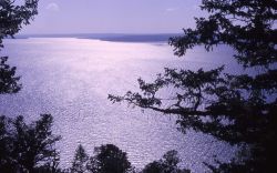 Yellowstone Lake as seen from Lake Butte Image