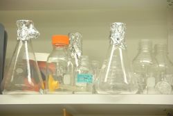 Beakers in a lab Photo