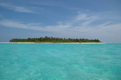 Corals And Serenity At Lakshadweep Image