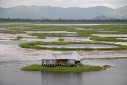 Loktak Lake Photo