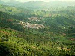 Kotagiri, Tamil Nadu Photo