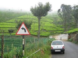 Kotagiri, Tamil Nadu Photo