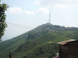 Kurseong, West Bengal Photo