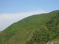 Kurseong, West Bengal Photo