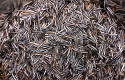 Wild Rice Image